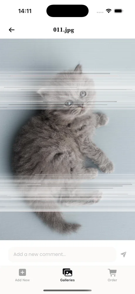 Client image protected by animated noise in MySafeFrame